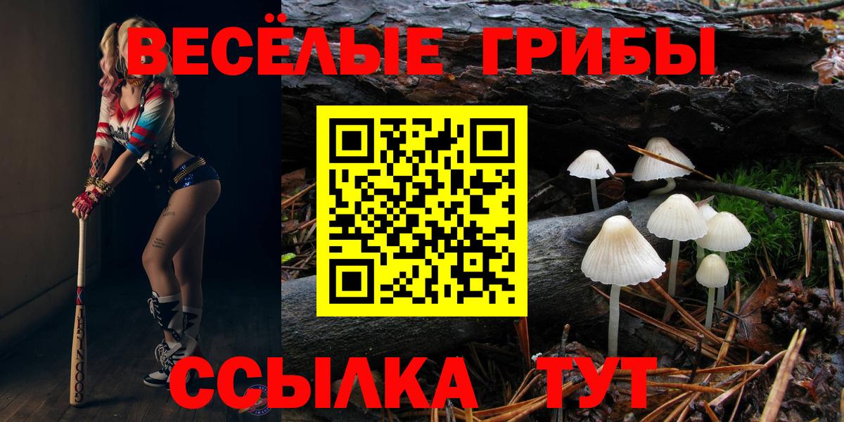 Галлюциногенные грибы MAGIC MUSHROOMS  Галлюциногенные грибы MAGIC MUSHROOMS  Вход с VPN  Кирово-Чепецк 