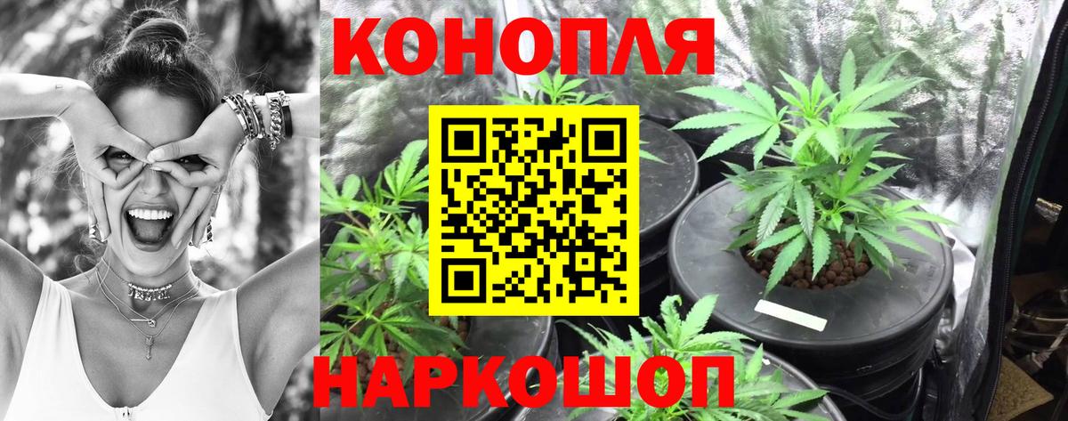 Канабис план  Шишки марихуана MAZAR  Вход с VPN  Конопля планчик  МАРИХУАНА индика  Кирово-Чепецк 